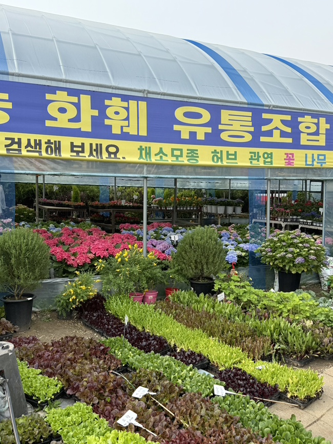 제일꽃화분 이미지