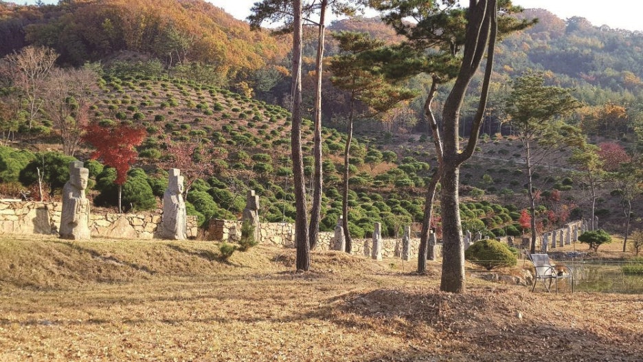 꿈꾸는나무 이미지
