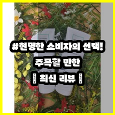 착한모공 이미지