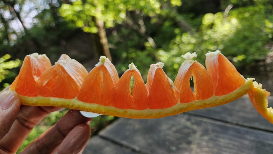 20250518_161659.jpg