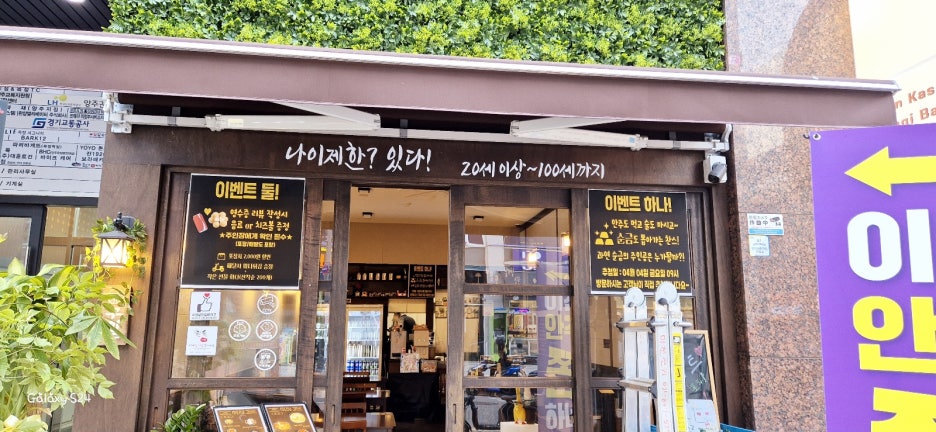 카피센타 이미지