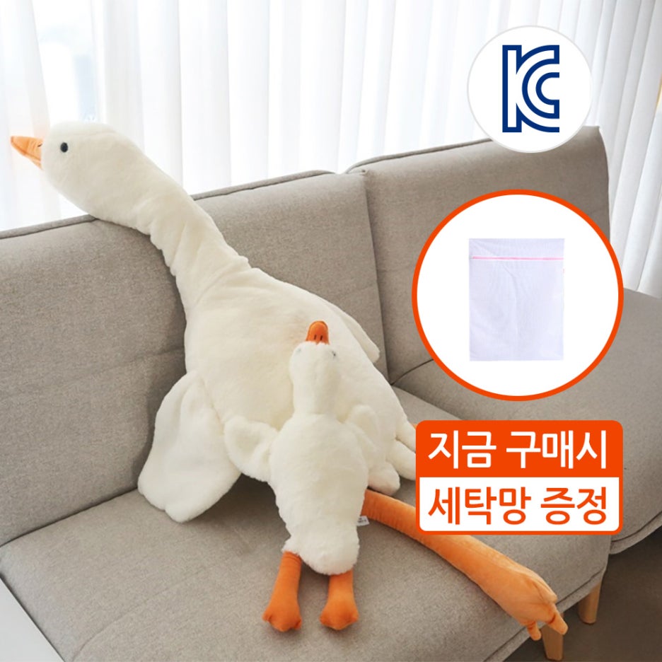 앙플러스 이미지