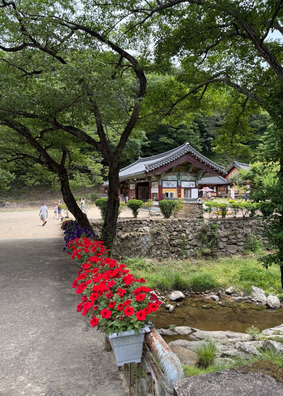 하나테마투어 이미지