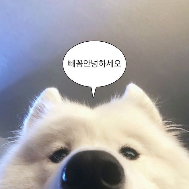 올리비아네일 이미지