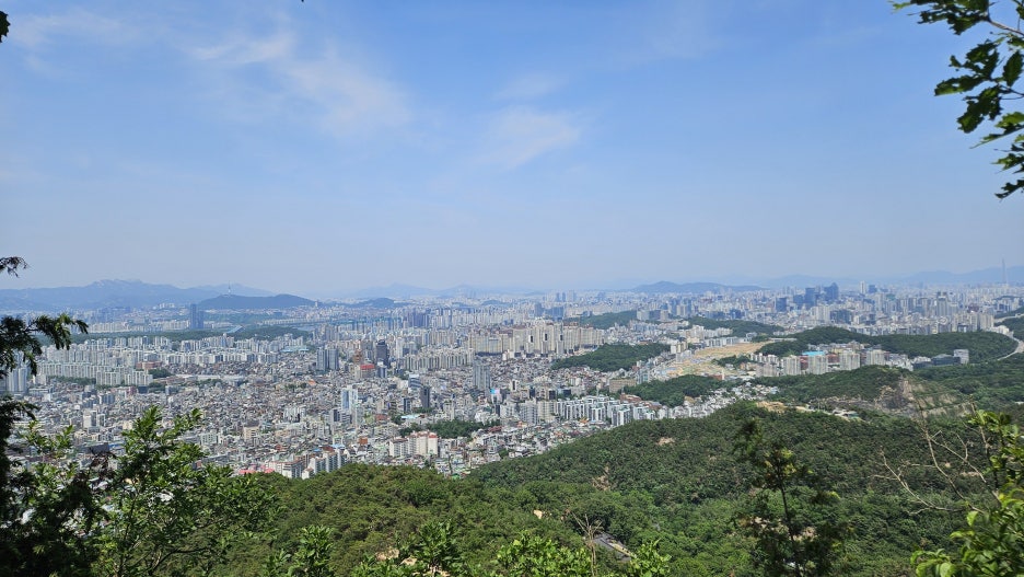 20250606_132934.jpg