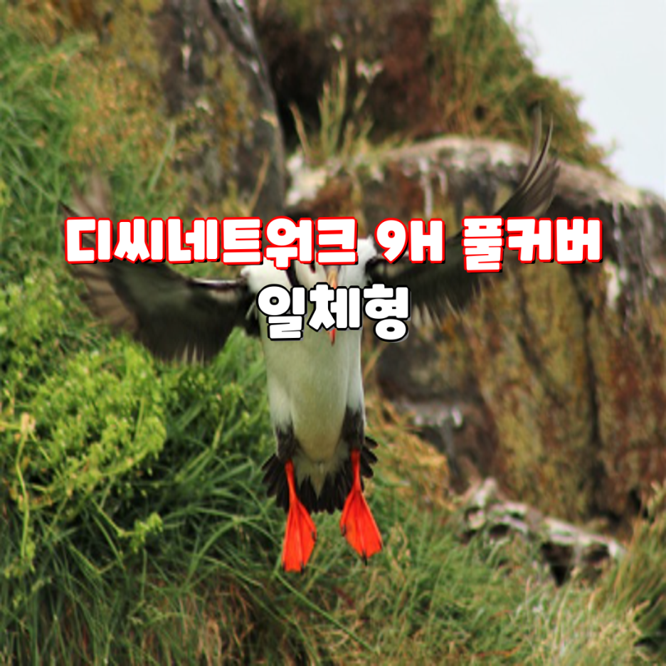 디자인디씨 이미지