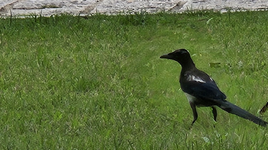 20250628_163803.jpg