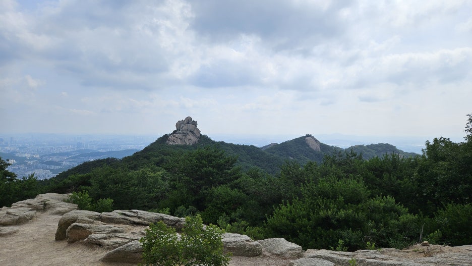 20250705_152431.jpg