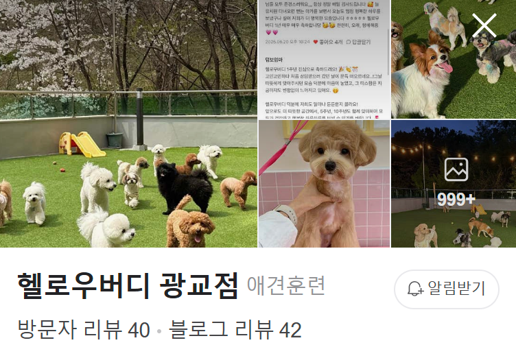사진 4