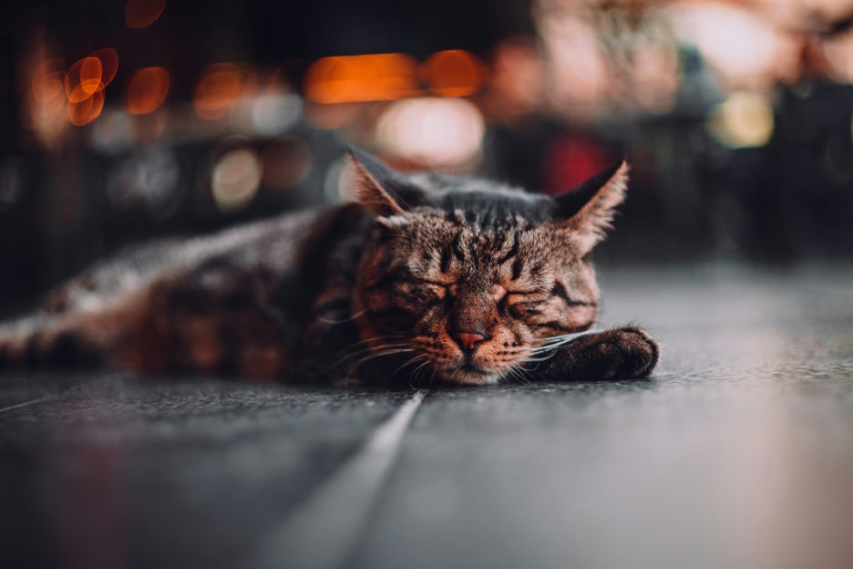 mert-kafali-EWnBD3Een3I-unsplash.jpg