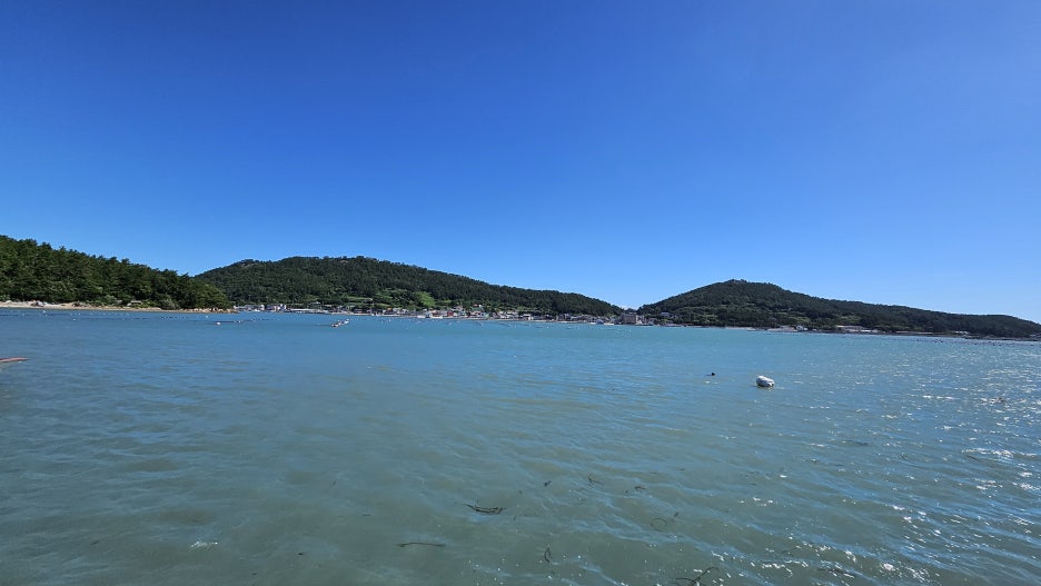 20250727_095355.jpg