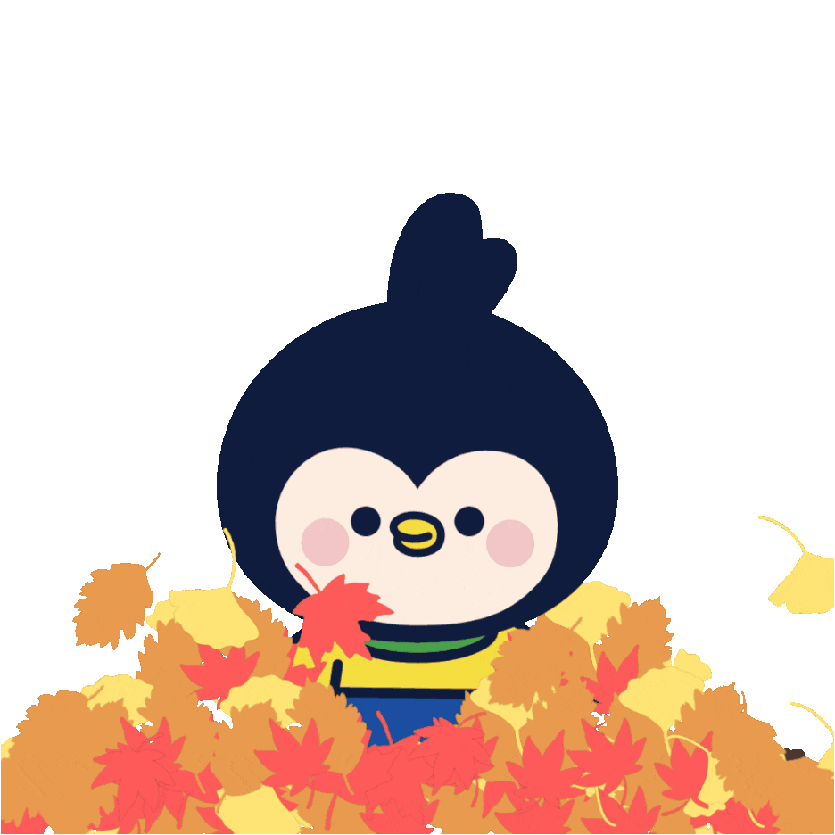 브로콜리 지역정보 관련 사진 1