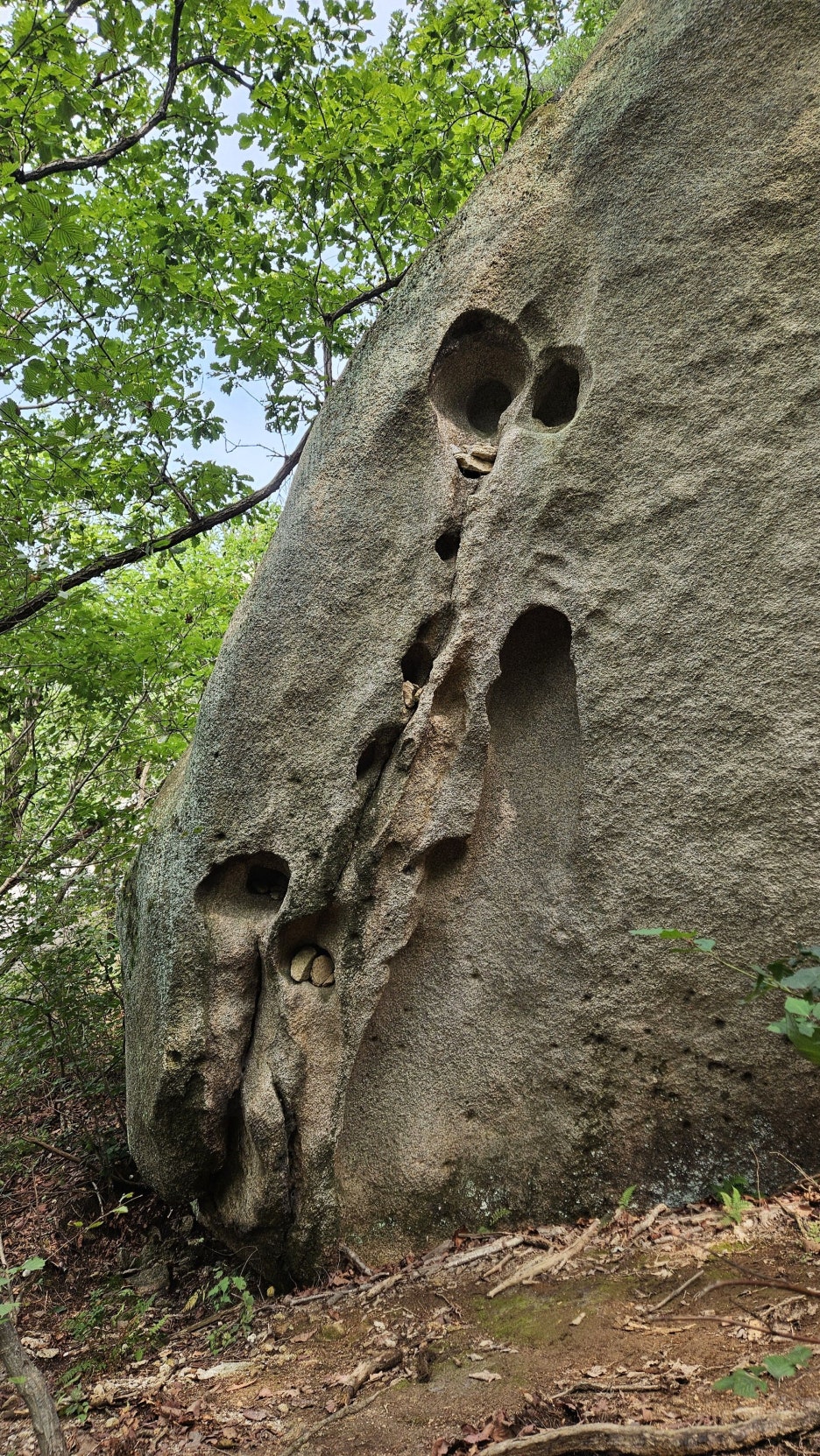 20250831_150538.jpg
