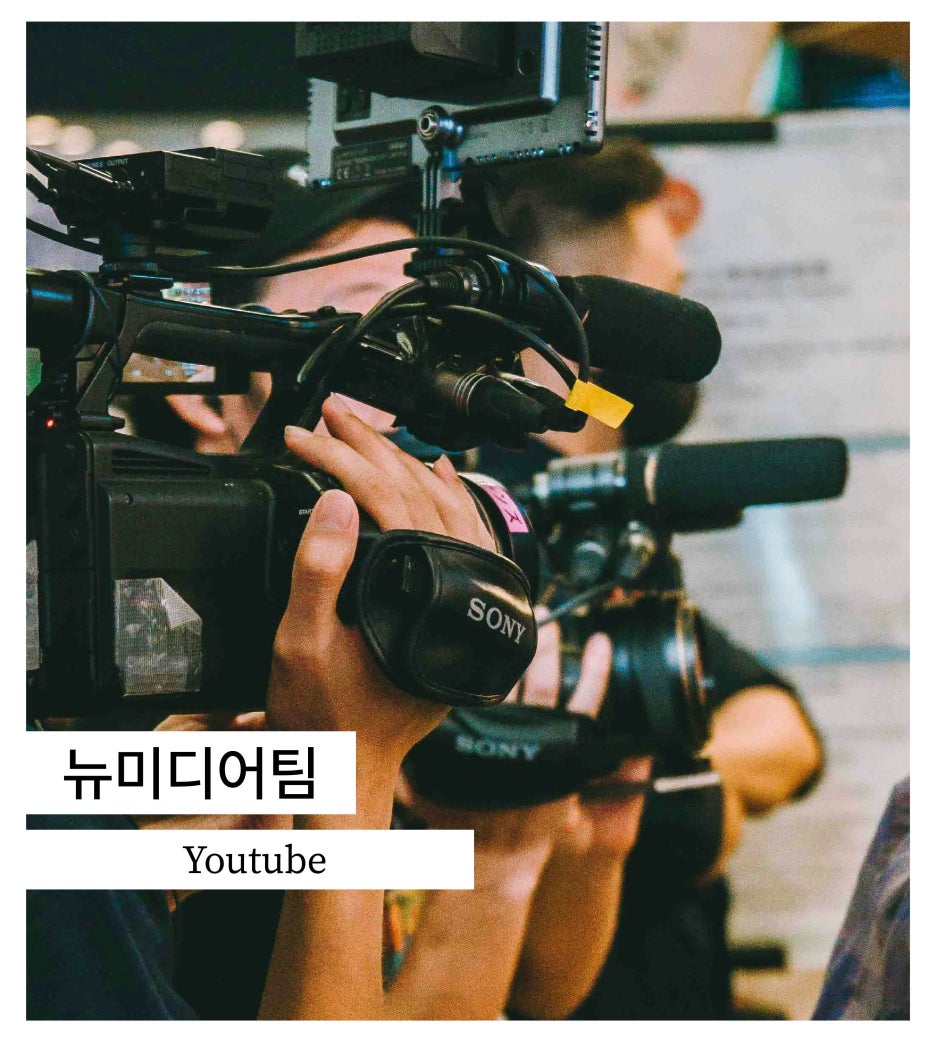 브로콜리 지역정보 관련 사진 4