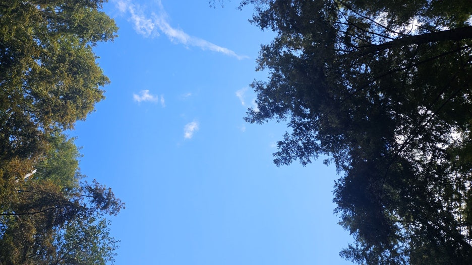 20250913_155109.jpg