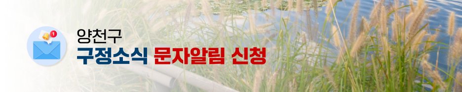 브로콜리 지역정보 관련 사진 23