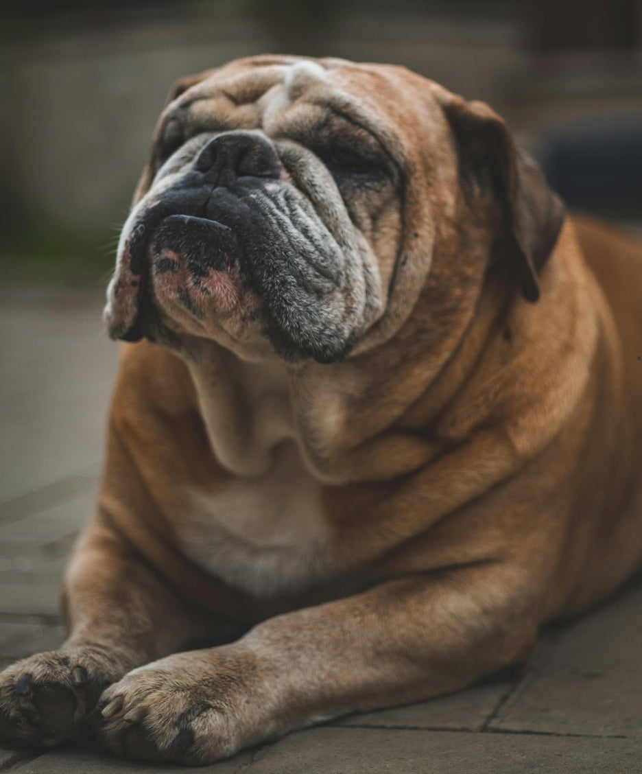 pexels-felipesantt-3067503.jpg