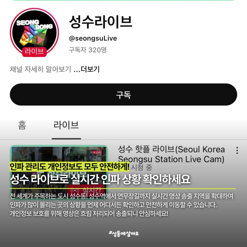 브로콜리 지역정보 관련 사진 2