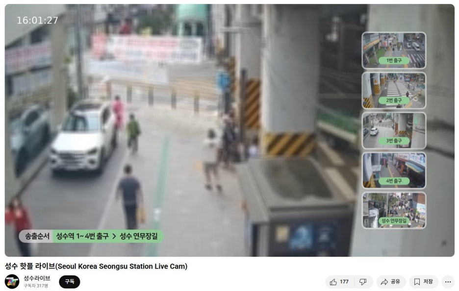 브로콜리 지역정보 관련 사진 3