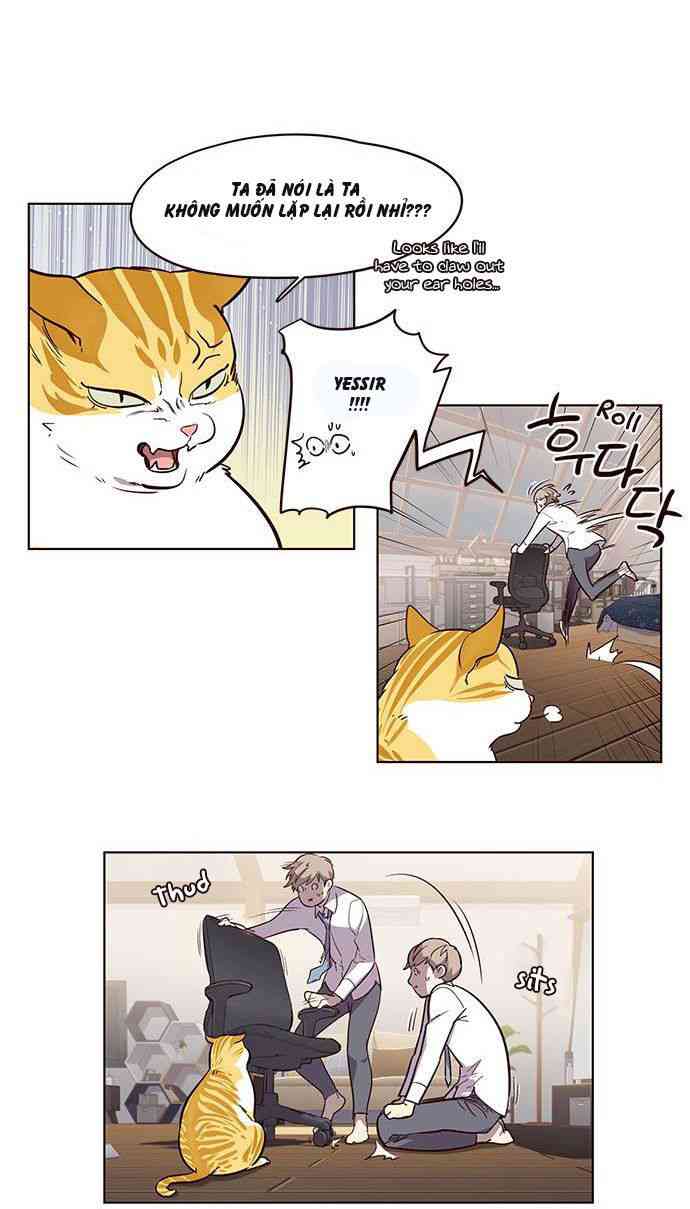 Hoá Thân Thành Mèo - Page 42