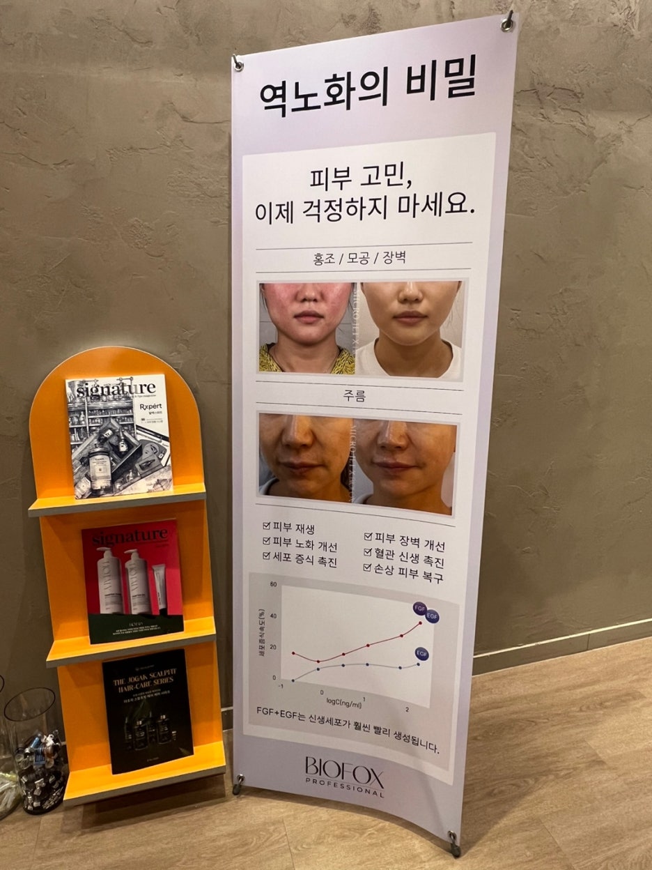 루온 에스테틱 이미지