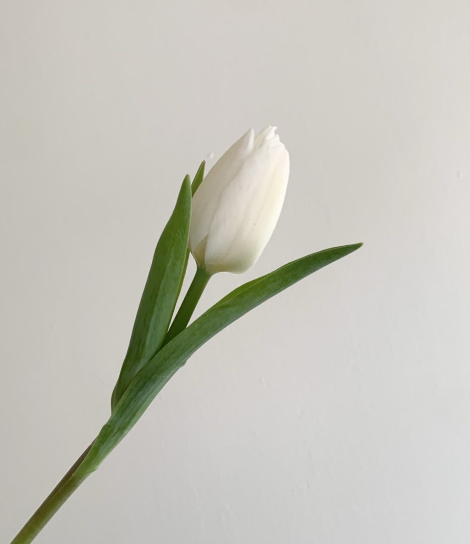 교대꽃집 이미지