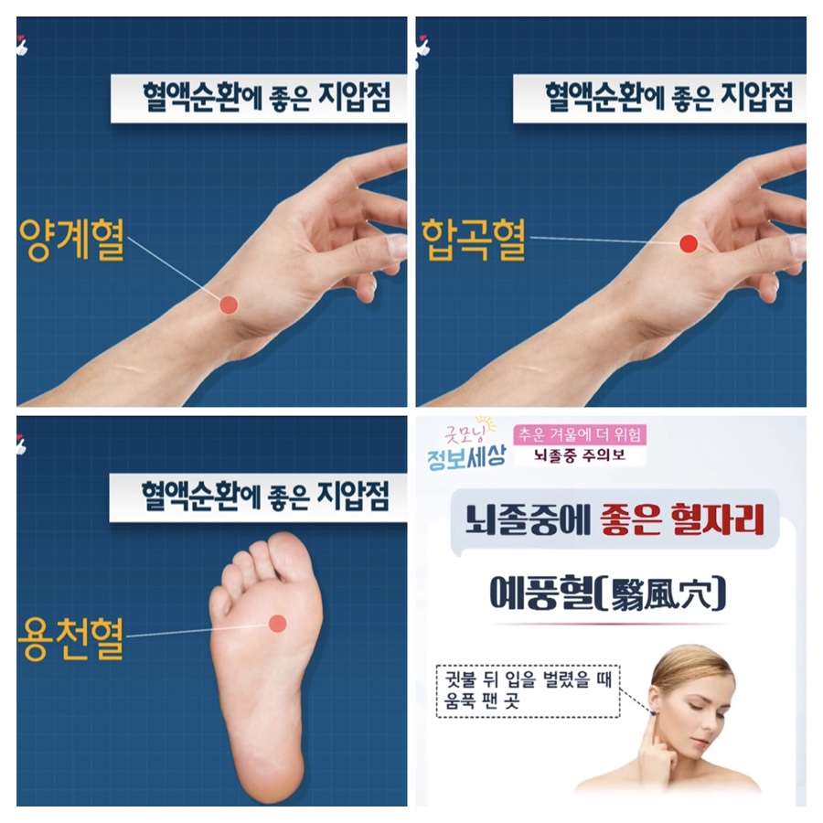 가람정 이미지