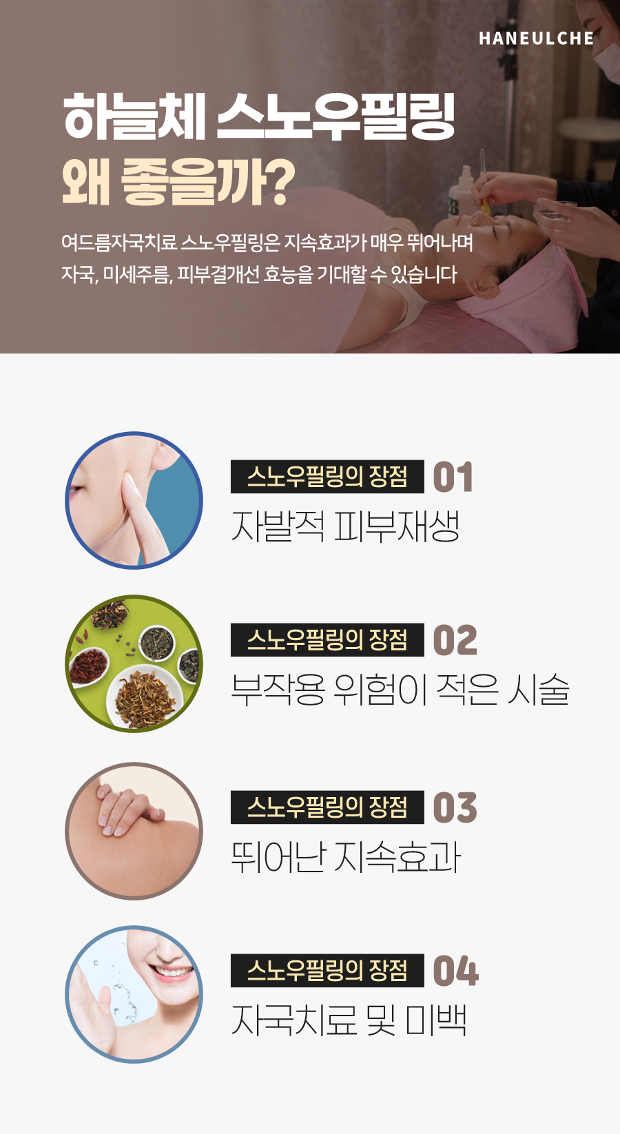 질경이수원 이미지