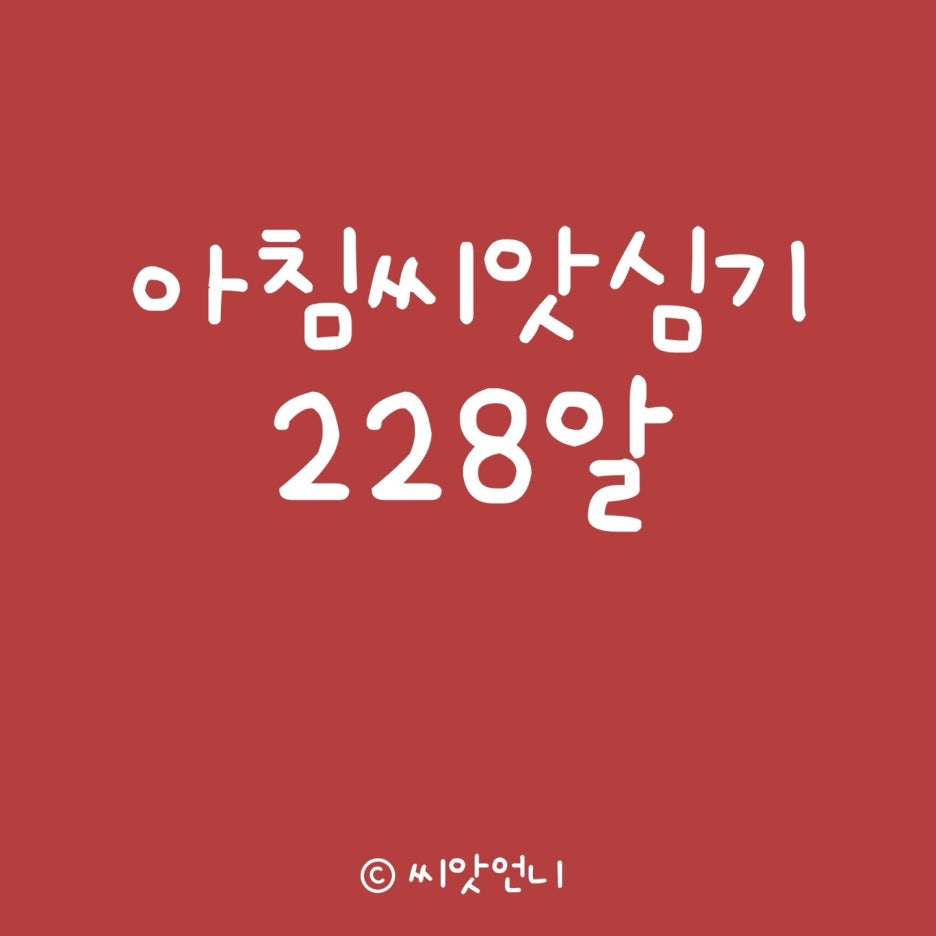 돌마레690 이미지