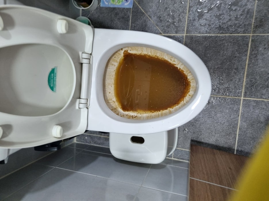 변기막힘 이미지