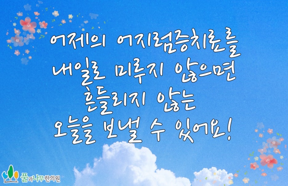 대구나무병원 이미지