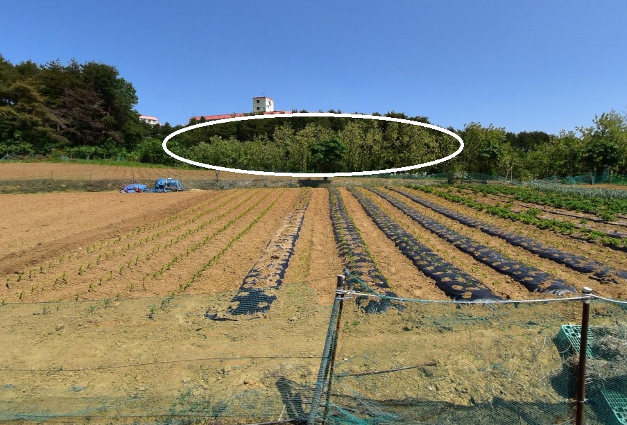 척산추어탕 이미지