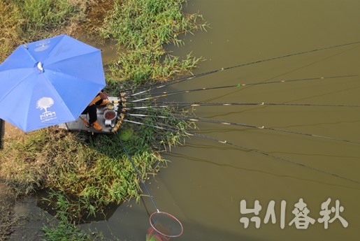 (주)선인 이미지