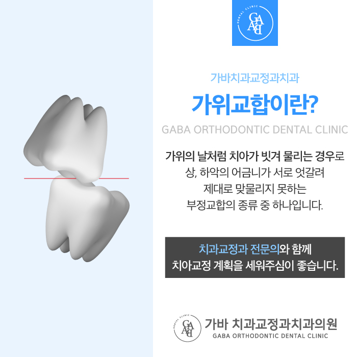 가바치과교정과치과의원 이미지
