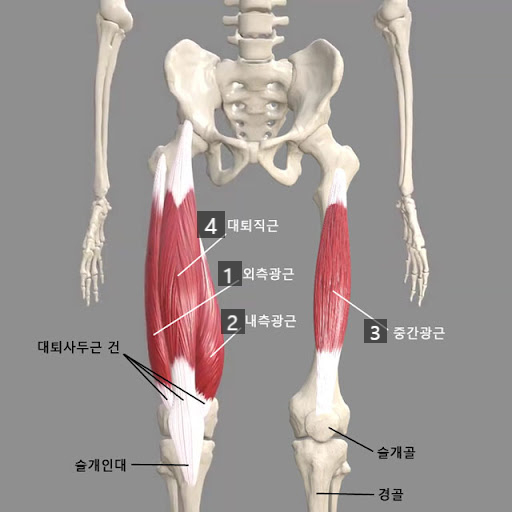 원웨이 이미지