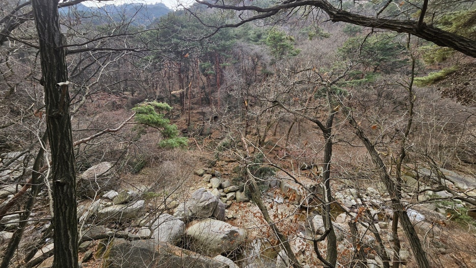 20250101_121937.jpg