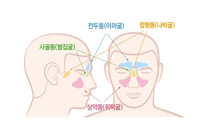 본뷰티 이미지