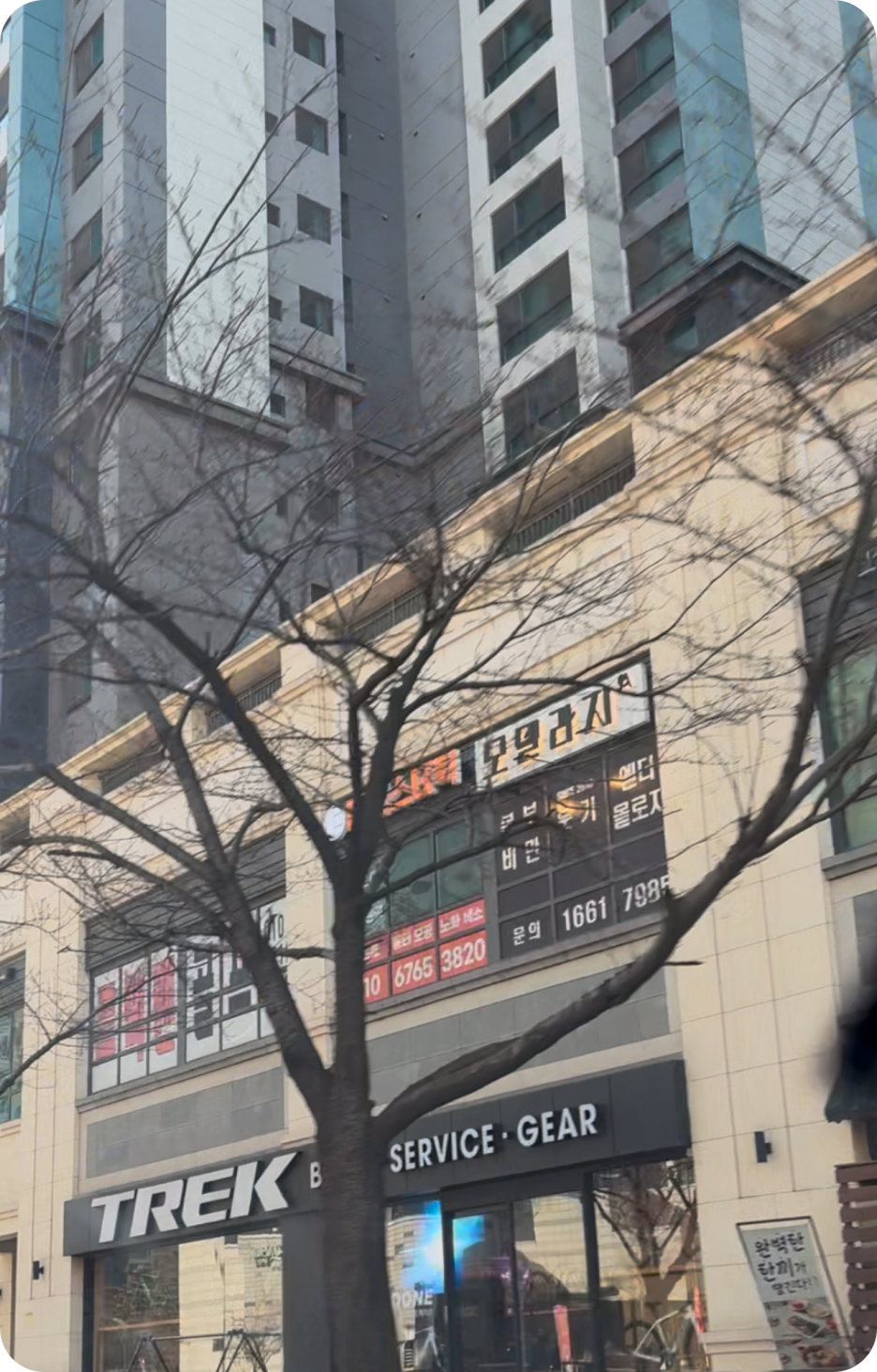 모델라지 이미지