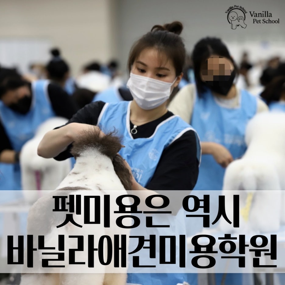 바닐라애견미용학원 이미지