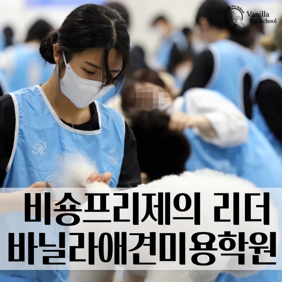 바닐라애견미용학원 이미지