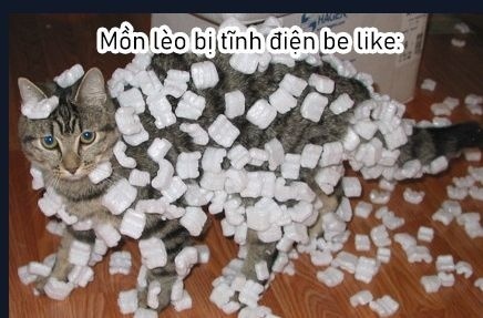 Cô nàng mèo ngủ gật và Chàng trai hướng nội - Page 1