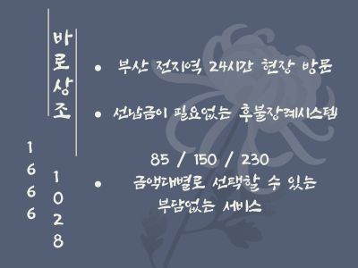 메리놀병원장례식장 이미지