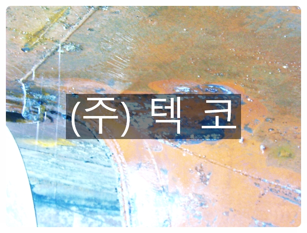텍코주 이미지