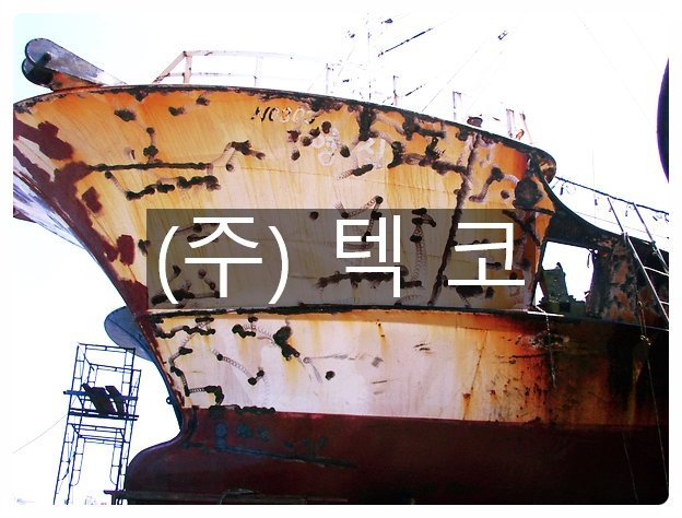 텍코주 이미지