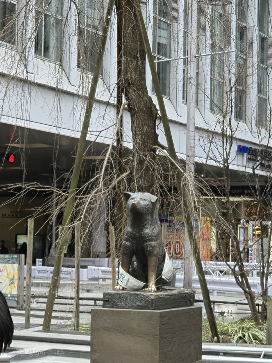여행생각 이미지