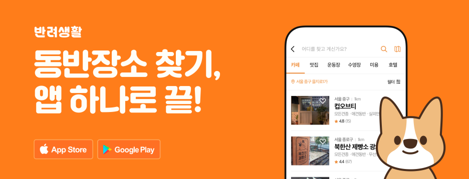 콩카페곽지해변점 이미지