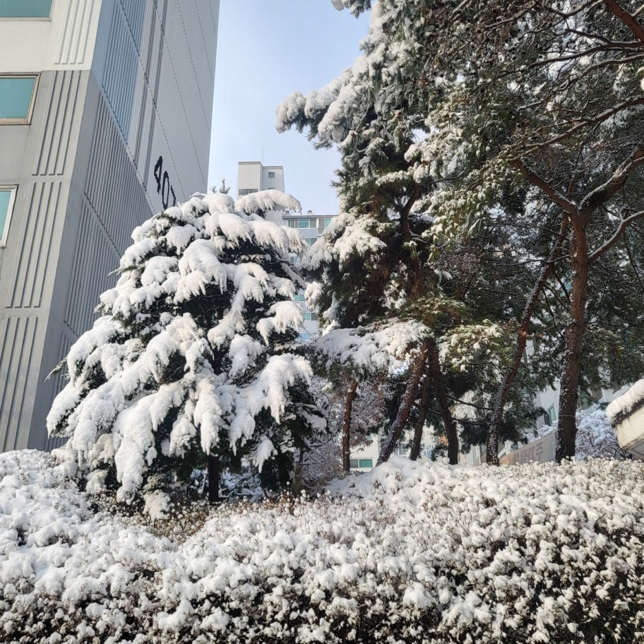 반짝세상 이미지