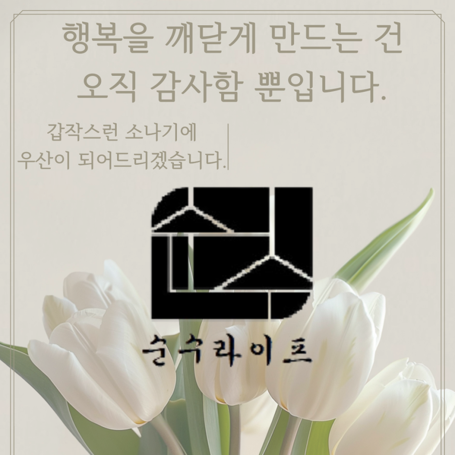 순수상조 이미지
