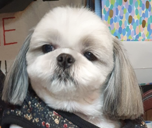 디자인모에 이미지