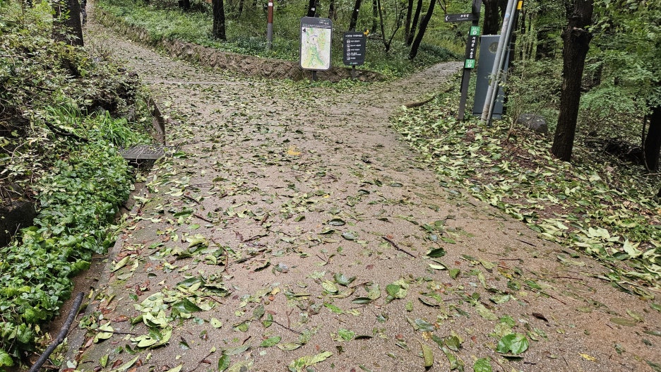 20251007_163409.jpg